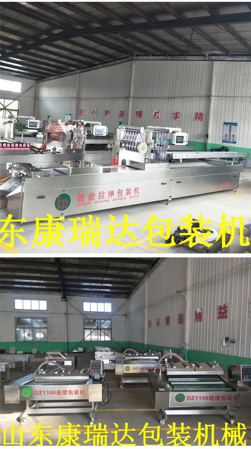 鴨脖全自動連續真空包裝機哪家好 山東康瑞達 誠信商家